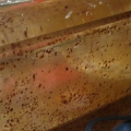 Brown sludge spots