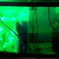 sump