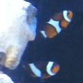 20140326_103010