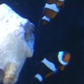 20140326_103012