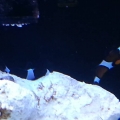 20140326_103101