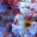 What is this?