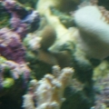 P1010102