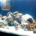 clear water