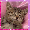 Sleepy