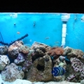 Newest Front