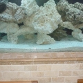 tank 003