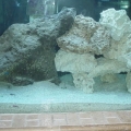tank 001