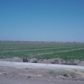 One of the many fields here in the Valley.