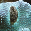 Picture 003