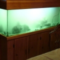 This is what my tank looked like when I first set it up after bringing it home... then everything died and I had to drain the water, bleach the live rock, and replace the substrate.