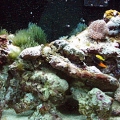 Picture 002