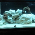 Clean tank