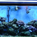 myTank1