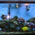 myTank2