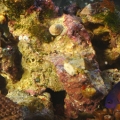 DSC 0348