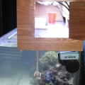 Lid 1/2 open with feeding door