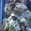 front view