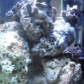 right side