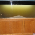 addition of live sand