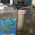 SUMP