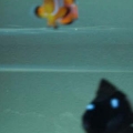 2/22/09