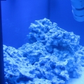 left side veiw