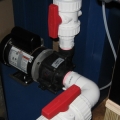 reeflow dart pump