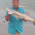 Sanibel Island, Fl Snook
