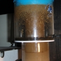 P6150081
