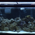 Finally,...new lights!!!