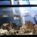 Mantis tank.  Bottom half.