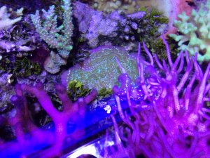 photo (8).JPG