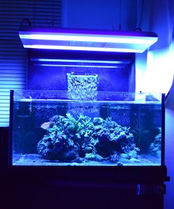 matt_aquarium_090212.jpg