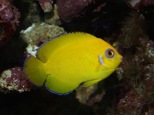 pny_40d7741b1000.jpg