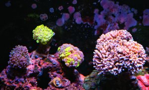 IMG_0075_1.jpg