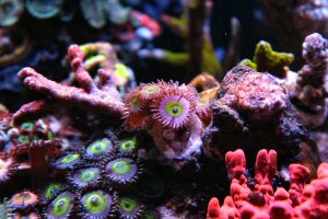 IMG_0079_1.jpg