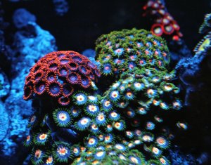 IMG_0104_1.jpg