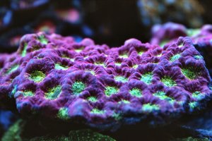 IMG_9743_1.jpg