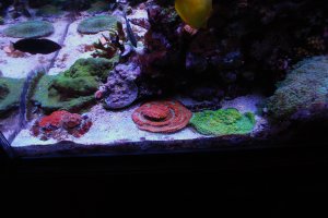 DSC_0459.JPG