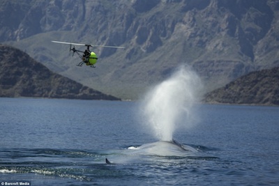 http://www.3reef.com/images/misc/oceans_for_pathi.jpg