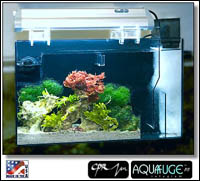 http://www.3reef.com/images/misc/products/aquafuge_ps_refugium.jpg