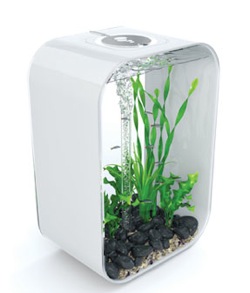 http://www.3reef.com/images/misc/products/biOrbLifeP45White.jpg