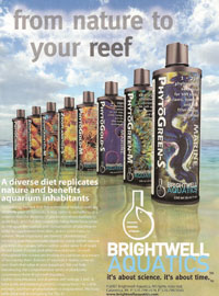 http://www.3reef.com/images/misc/products/brightwell_aquatics.jpg