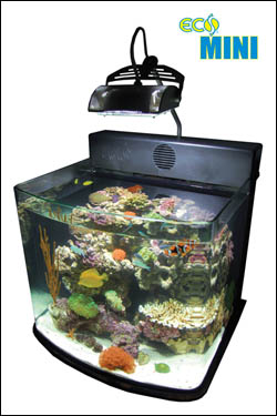 http://www.3reef.com/images/misc/products/eco_mini_aquarium.jpg