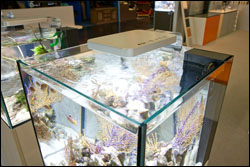 http://www.3reef.com/images/misc/products/elos_elite.jpg