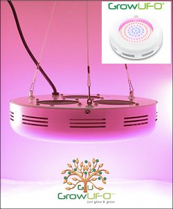 http://www.3reef.com/images/misc/products/grow_ufo.jpg