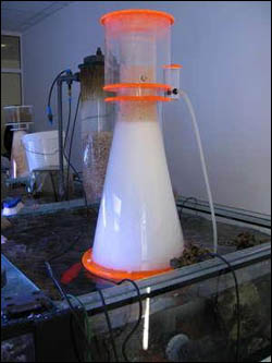 http://www.3reef.com/images/misc/products/korallen_revolution_skimmer.jpg