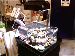 http://www.3reef.com/images/misc/products/zeroedge_22zr.jpg
